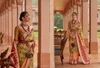 Rajvansh By Rajyog Pure Silk Patola Saree Wholesale Suppliers In Mumbai
